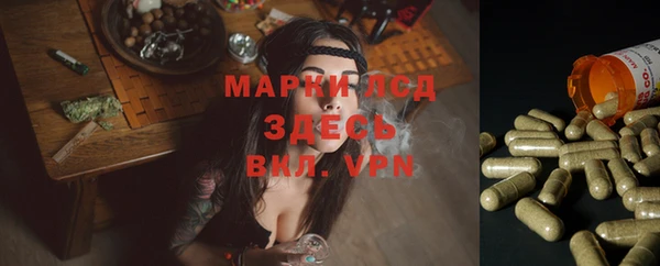 не бодяженный Арсеньев